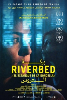 Imagen de Riverbed (El estanque de la doncella)