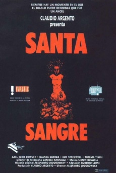 Imagen de Santa sangre