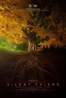 Imagen de El amigo silencioso