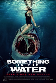 Imagen de Something in the Water