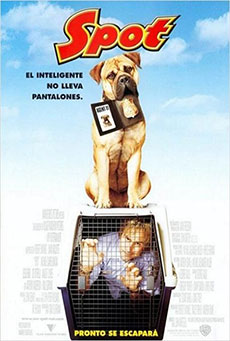 Spot Imagen de Spot
