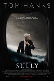 Imagen de Sully