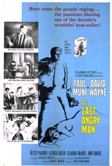 The Last Angry Man Imagen de The Last Angry Man