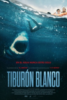 Tiburón blanco Imagen de Tiburón blanco