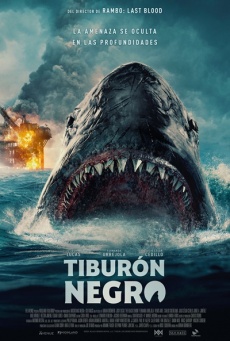Tiburón negro Imagen de Tiburón negro