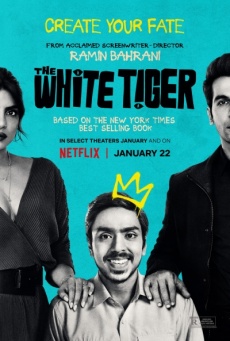 Tigre Blanco Imagen de Tigre Blanco