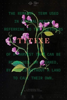 Titixe Imagen de Titixe