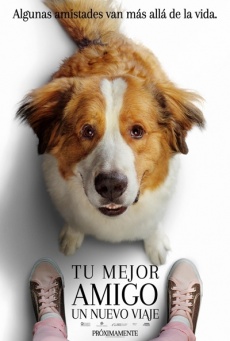 Tu mejor amigo: Un nuevo viaje Imagen de Tu mejor amigo: Un nuevo viaje