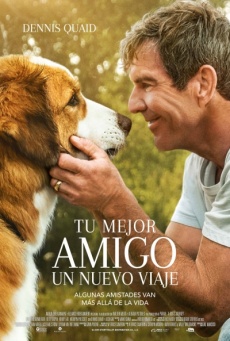 Tu mejor amigo: Un nuevo viaje Imagen de Tu mejor amigo: Un nuevo viaje