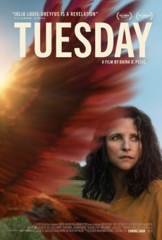 Tuesday Imagen de Tuesday