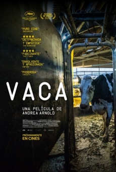 Vaca Imagen de Vaca