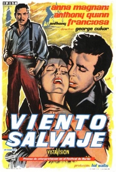 Viento salvaje Imagen de Viento salvaje