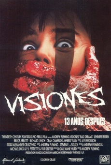 Imagen de Visiones, 13 años después