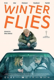 Winter Flies Imagen de Winter Flies