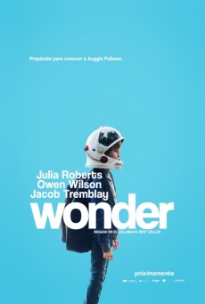 Wonder Imagen de Wonder