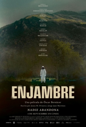 Imagen de Enjambre