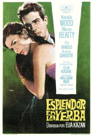 Imagen de Esplendor en la hierba