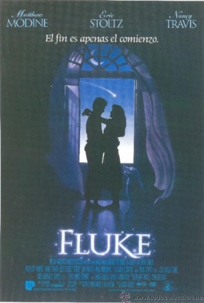 Imagen de Fluke