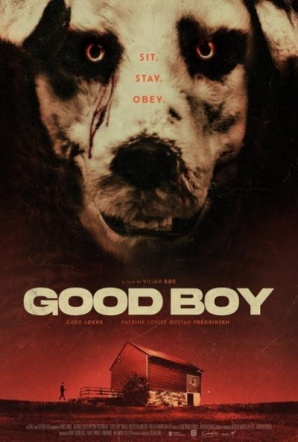 Imagen de Good Boy