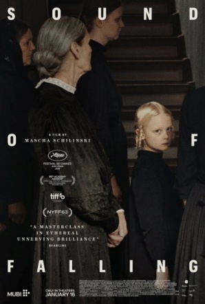 Imagen de Sound of Falling