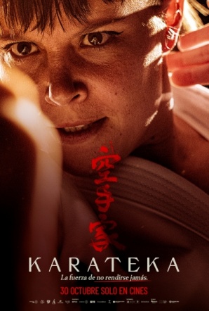 Imagen de Karateka