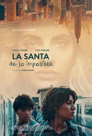Imagen de La santa de lo imposible
