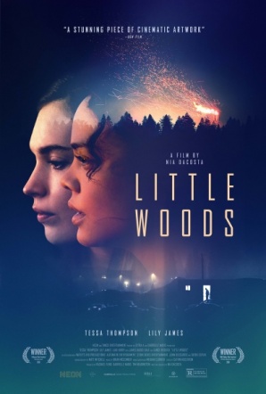 Imagen de Little Woods