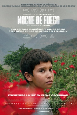 Imagen de Noche de fuego