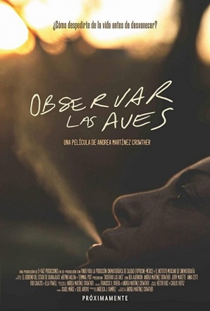 Imagen de Observar las aves