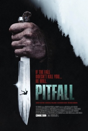 Imagen de Pitfall