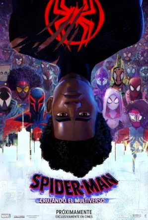 Imagen de Spider-Man: Cruzando el multiverso