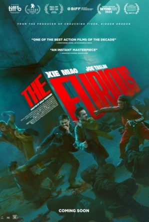 Imagen de The Furious