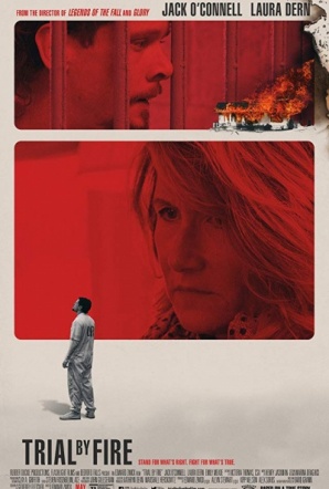 Imagen de El caso Willingham