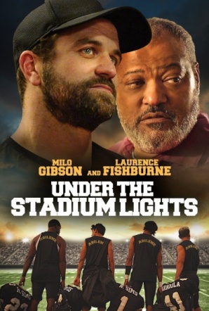 Imagen de Under the Stadium Lights