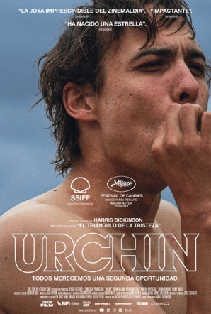 Imagen de Urchin