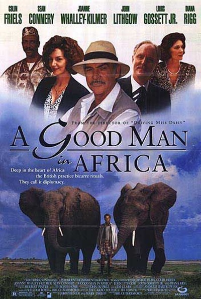 Póster de Un buen hombre en África