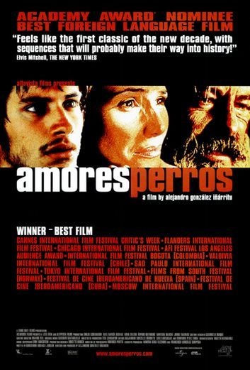 Póster de Amores perros