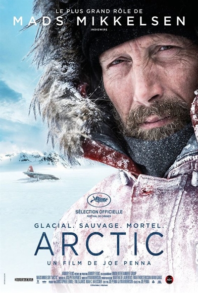 Póster de Ártico
