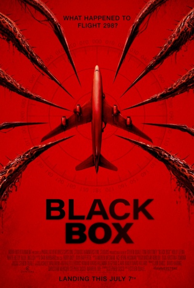 Póster de Black Box: Vuelo 298