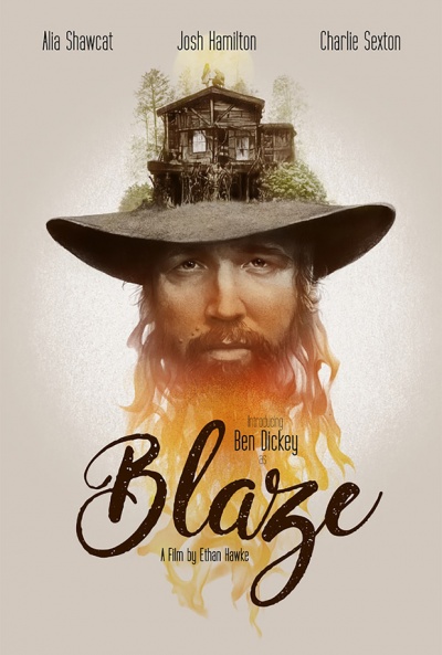 Póster de Blaze