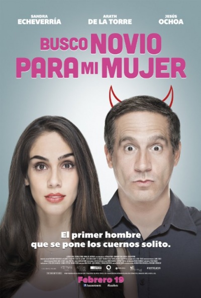 Póster de Busco novio para mi mujer