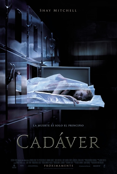 cadaver_73571.jpg