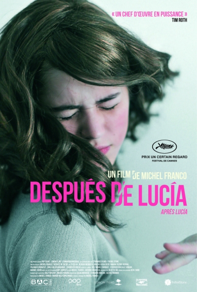 Póster de Después de Lucía