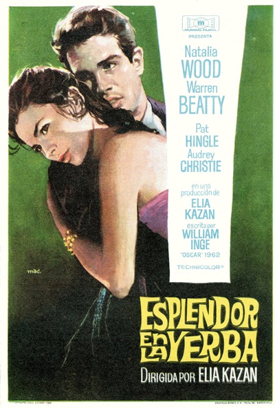 Póster de Esplendor en la hierba
