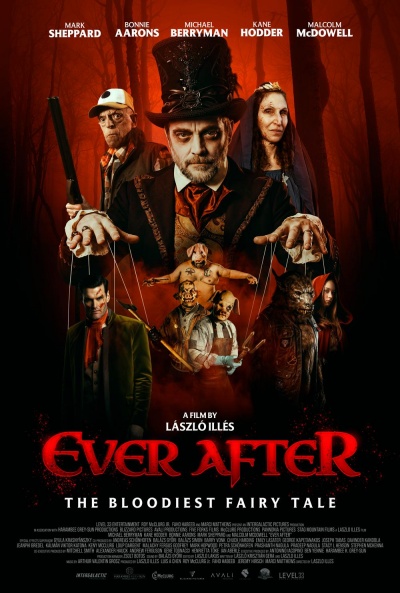 Póster de Ever After