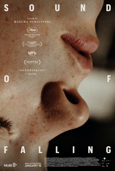 Póster de El sonido de la caída