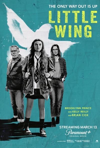 Póster de Little Wing