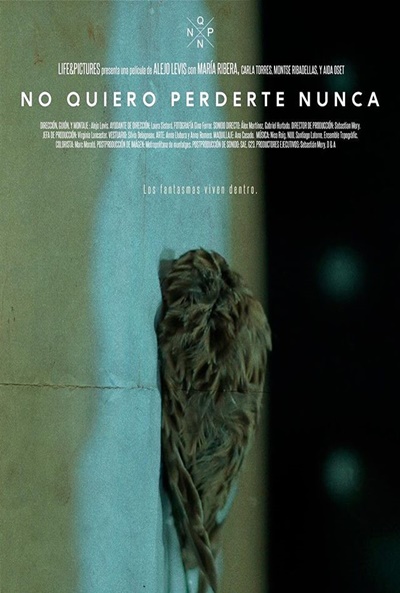 Póster de No quiero perderte nunca