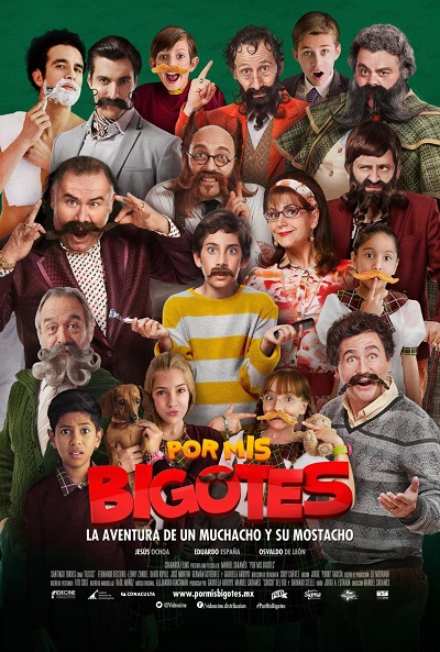 Póster de Por mis bigotes