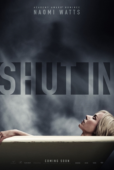 Póster de Shut In